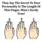 HT7. The insights your finger length offer about your personality