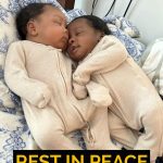 HT7. Twin babies, who died alongside their mom, believed to be youngest Hurricane Helene victims