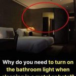 HT7. This is why you should keep the bathroom light on when sleeping in a hotel