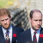 HT7. ROYAL EXPERT STATED THAT PRINCE WILLIAM HAS NO LOVE FOR HIS BROTHER ANYMORE (Clone)