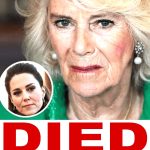 ST7. Queen Camilla cancels royal engagements due to ill health