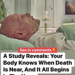 HT7. A research reveals your body knows when death is near, and it all starts in the nose