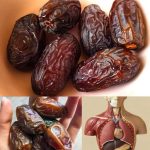 HT7. Eat four dates a day: Nature’s candy packed with nutritional power