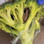 HT6. Man’s Horrifying Discovery Inside Bag of Aldi-Bought Broccoli”